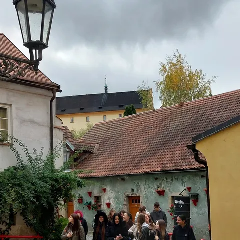 Co se skrývá za dveřmi hotelů? G3 navštívila Růži a Old Inn